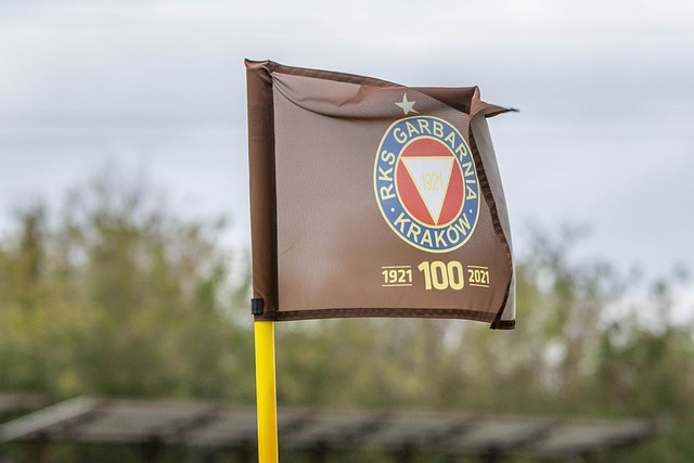 亚冬会｜冰雪同梦.