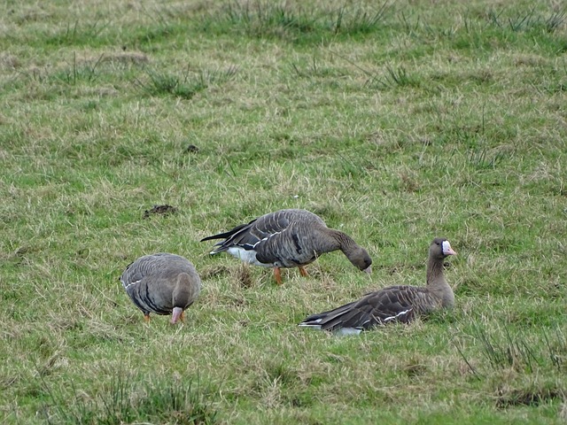 里程碑！李源一完成个人中超生涯200场.